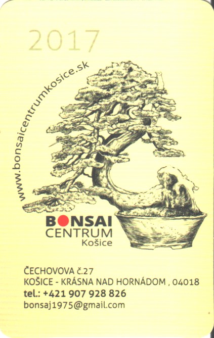 Bonsai sk.-17