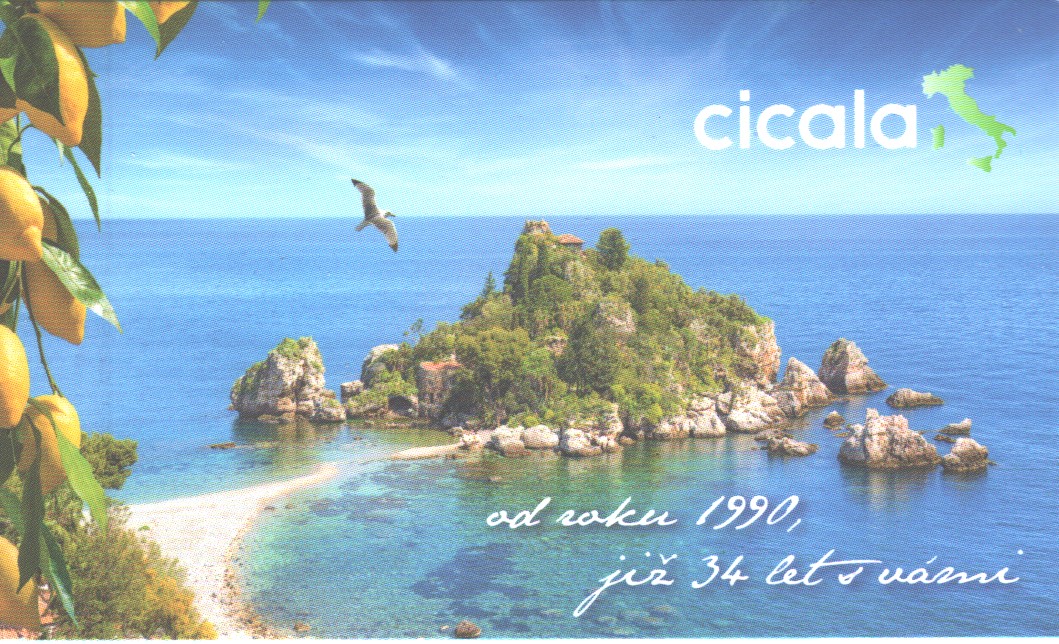 Cicala-24