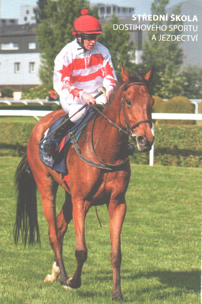 Dostihová-25