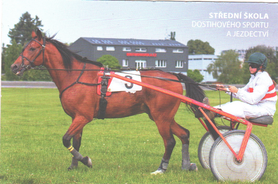 Dostihová 2-25