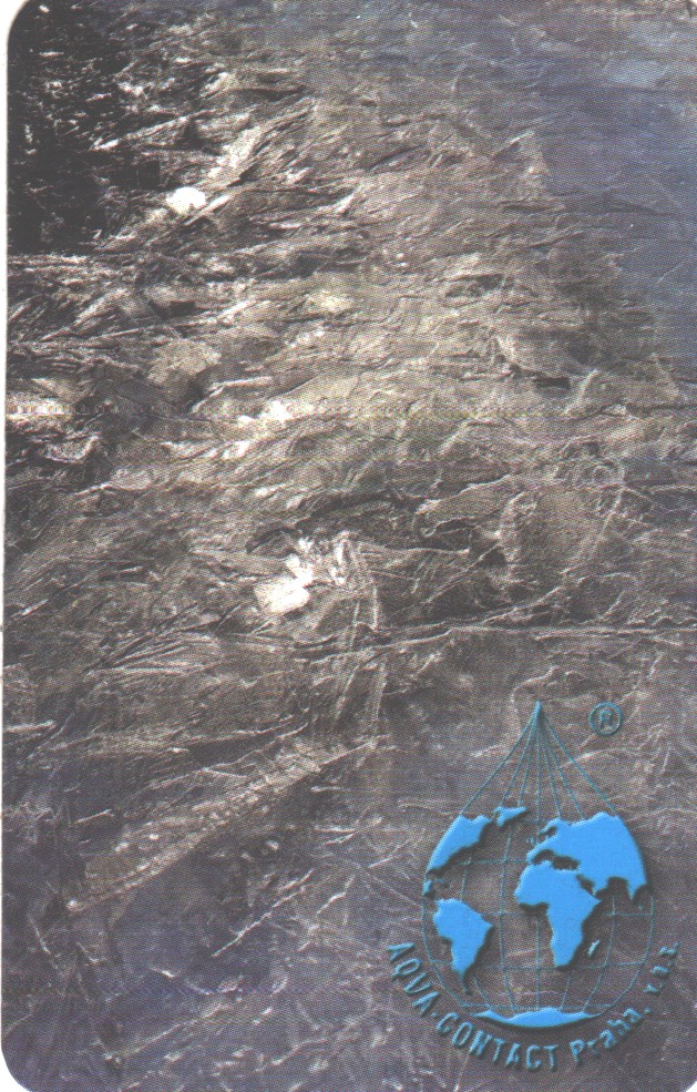 Aqua-25