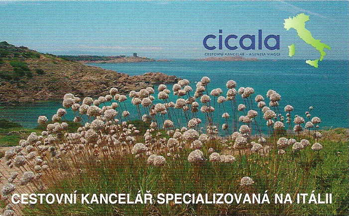 cicala-11