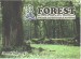 Forest-23